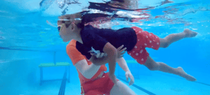 Goldfish-swim-school